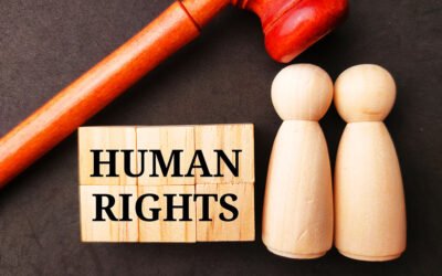 Defendiendo la justicia global: Derecho Internacional de los Derechos Humanos